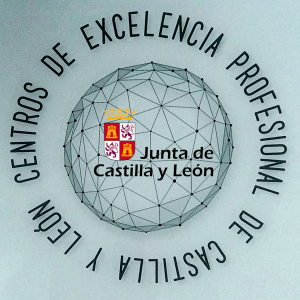 icono excelencia cyl